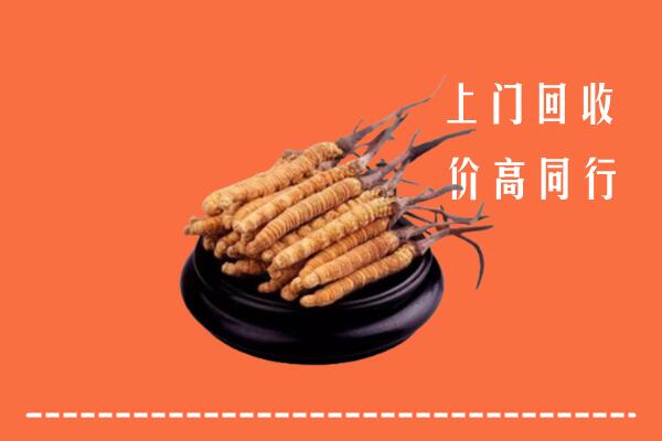 附近收购：寮步镇冬虫夏草回收多少钱每克
